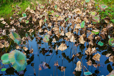 Similar image 9404648