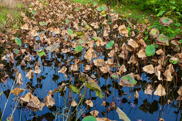 Similar image 9404650