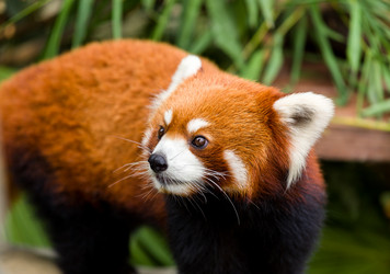 Similar image 9404657