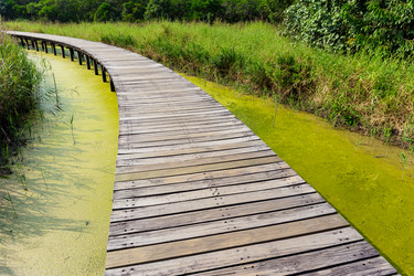 Similar image 9404817