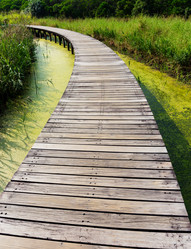 Similar image 9404822