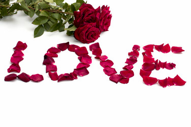 Similar image 9406136