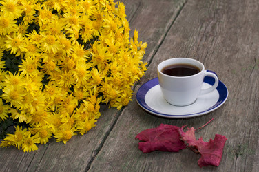 Similar image 9406153