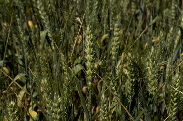 Similar image 9406166