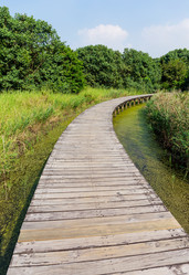 Similar image 9406439