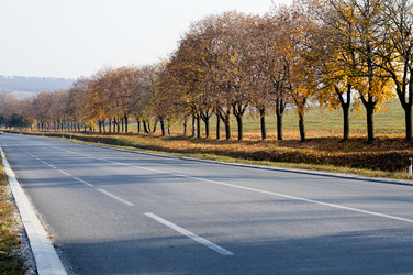 Similar image 9406530