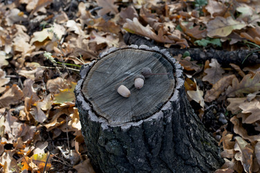 Similar image 9406542