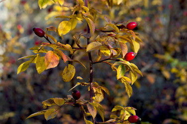 Similar image 9406547