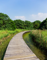 Similar image 9406702