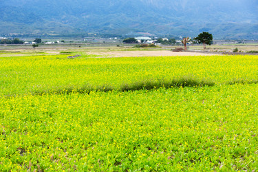 Similar image 9407940