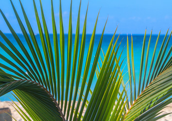 Similar image 9408052