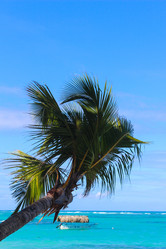 Similar image 9408062