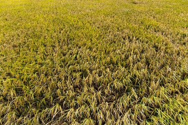 Similar image 9408484