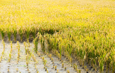 Similar image 9408486