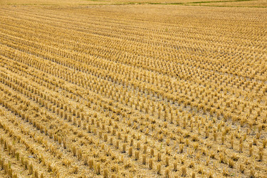 Similar image 9408497