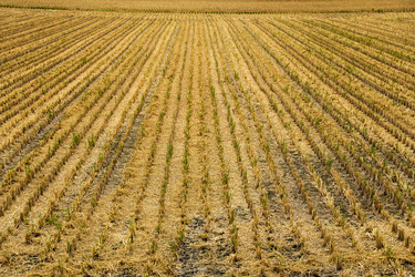 Similar image 9408503