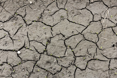 Similar image 9408508