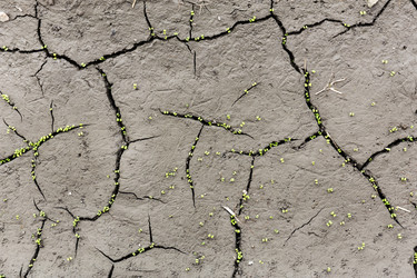 Similar image 9408515