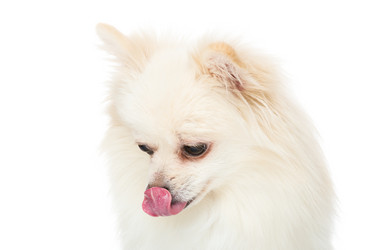 Similar image 9408905