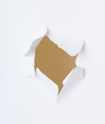 Similar image 9409554