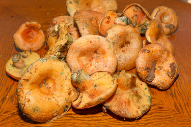 Similar image 9412057