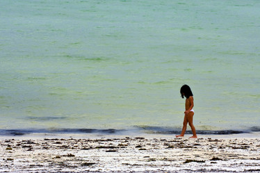 Similar image 9419544