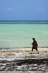 Similar image 9419549