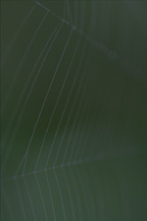 Similar image 9419566