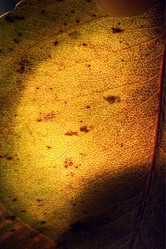 Similar image 9419568