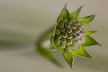 Similar image 9419575