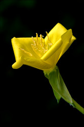 Similar image 9419582