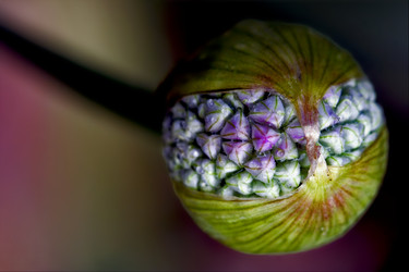 Similar image 9419793