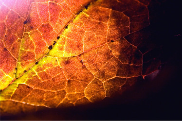 Similar image 9419803