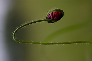 Similar image 9419813