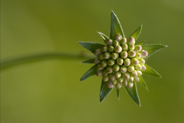 Similar image 9419824