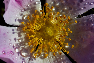 Similar image 9420075