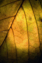 Similar image 9420077