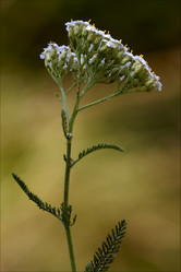 Similar image 9420908