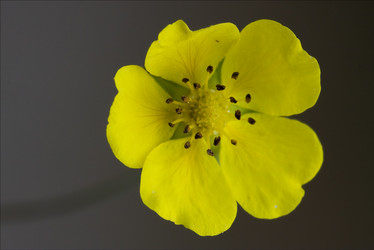 Similar image 9420931