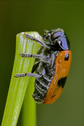 Similar image 9420933