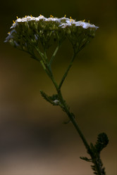 Similar image 9421160