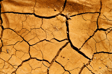 Similar image 9421169