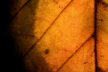 Similar image 9421185