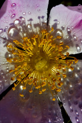 Similar image 9421385