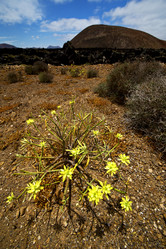 Similar image 9421595