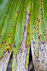 Similar image 9421761