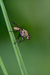 Similar image 9421791