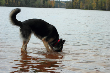 Similar image 9422065