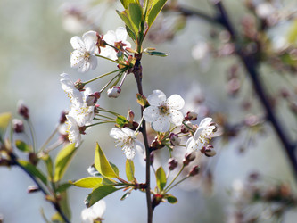 Similar image 9422094