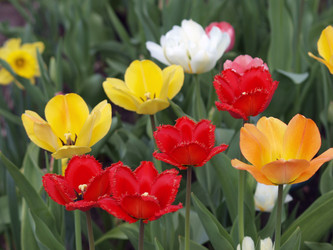 Similar image 9422096